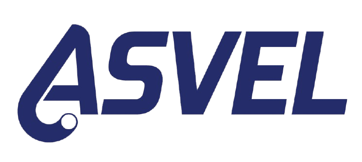 ASVEL Logo